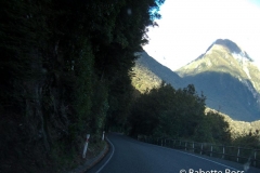 between Te Anu & MIlford Sound