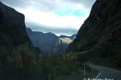 between Te Anu & MIlford Sound