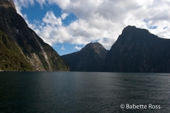 Milford Sound Cruise