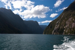 Milford Sound Cruise