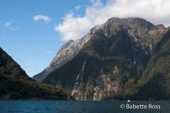 Milford Sound Cruise