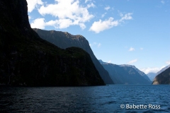 Milford Sound Cruise