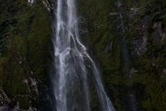 Milford Sound Cruise