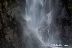 Milford Sound Cruise