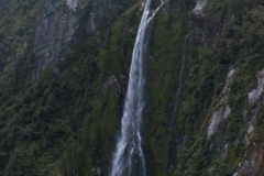 Milford Sound Cruise