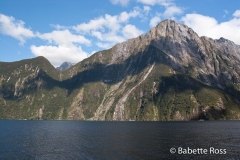 Milford Sound Cruise