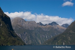 Milford Sound Cruise
