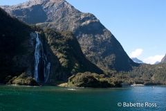 Milford Sound Cruise