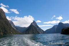 Milford Sound Cruise
