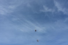Zipline