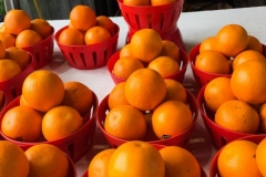 Marche Jean Talon