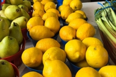 Marche Jean Talon