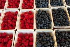 Marche Jean Talon