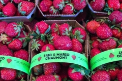 Marche Jean Talon