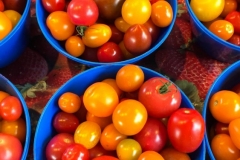 Marche Jean Talon