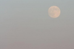 20140809_009