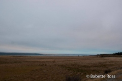 between Aoraki & Moreaki