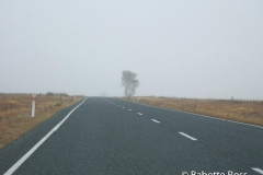 between Aoraki & Moreaki
