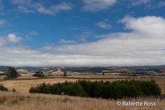 between Aoraki & Moreaki