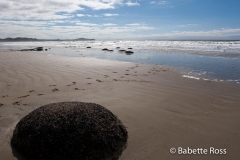 Moreaki Boulders