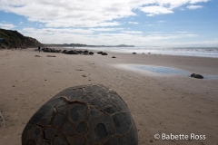 Moreaki Boulders
