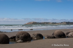 Moreaki Boulders