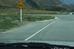 Mt. Aspiring National Park