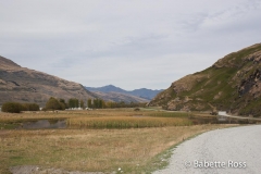 Mt. Aspiring National Park