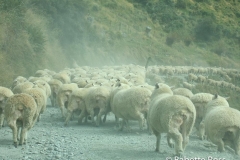 Mt. Aspiring National Park
