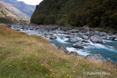 Mt. Aspiring National Park - Rob Roy Valley Track