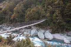 Mt. Aspiring National Park - Rob Roy Valley Track