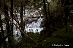 Mt. Aspiring National Park - Rob Roy Valley Track