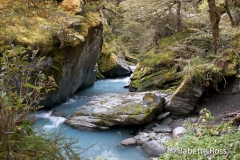 Mt. Aspiring National Park - Rob Roy Valley Track