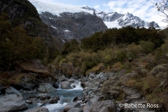 Mt. Aspiring National Park - Rob Roy Valley Track