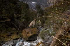 Mt. Aspiring National Park - Rob Roy Valley Track