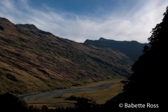 Mt. Aspiring National Park - Rob Roy Valley Track