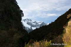 Mt. Aspiring National Park - Rob Roy Valley Track