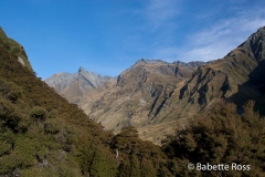 Mt. Aspiring National Park - Rob Roy Valley Track