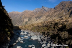 Mt. Aspiring National Park - Rob Roy Valley Track