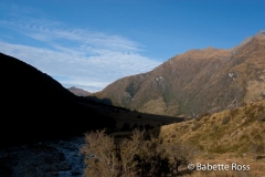 Mt. Aspiring National Park - Rob Roy Valley Track