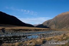 Mt. Aspiring National Park - Rob Roy Valley Track