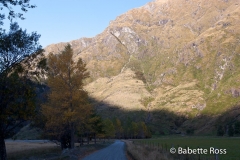 Mt. Aspiring National Park