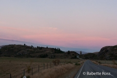 between Mt. Aspiring National Park and Wanaka