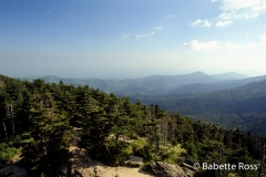 Mt Mitchell,
