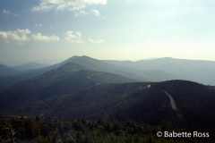 Mt Mitchell,