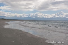 Tahunanui Beach