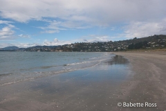 Tahunanui Beach