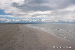 Tahunanui Beach