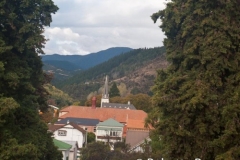 Nelson
