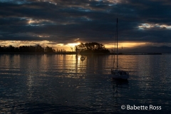 Sunset at Boat Shed Cafe, Nelson